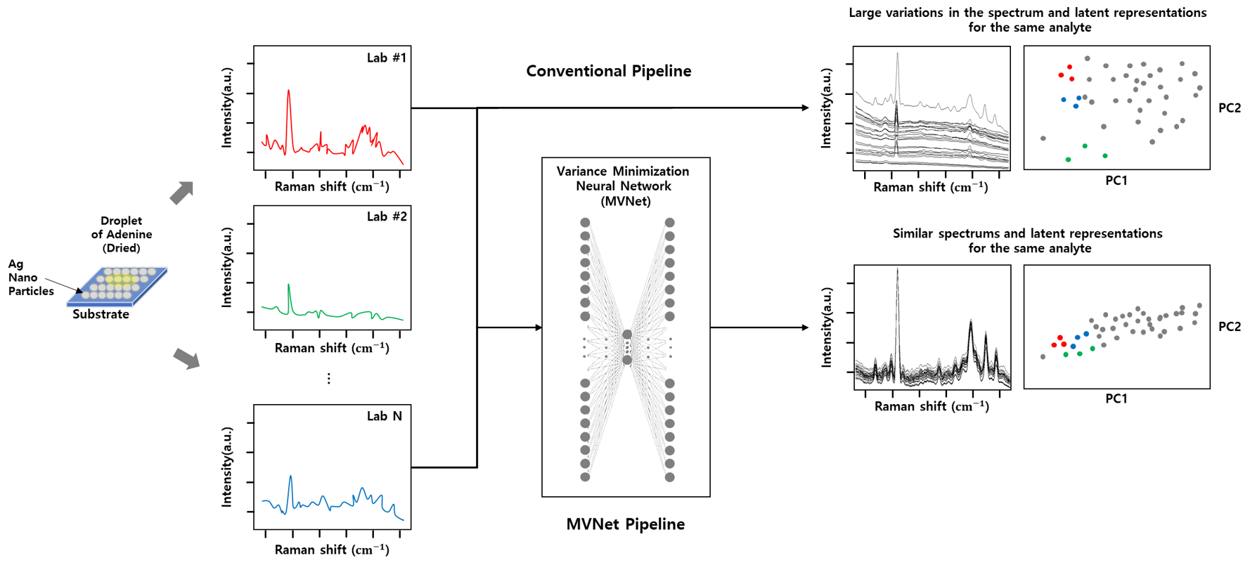 Figure3. Minimum Variance Network (MVNet) based SERS Signal Processing Pipeline