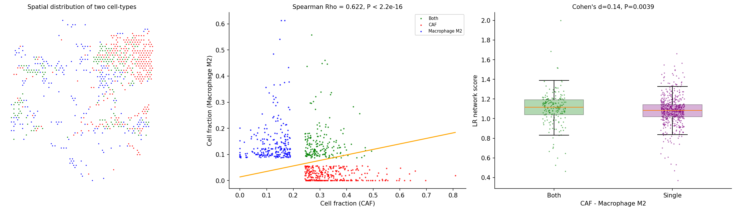 CAF-Macrophage M2 interaction