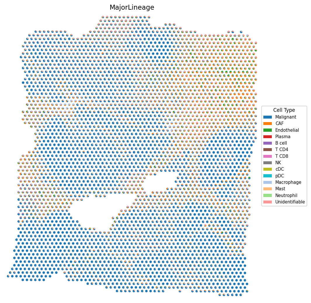 Cell type composition pie charts