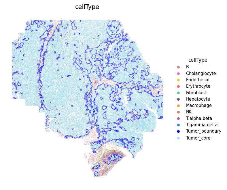 CosMx cell type spatial distribution