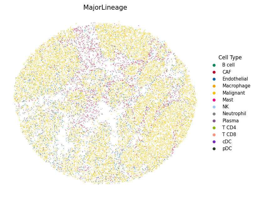 CRC most abundant cell type