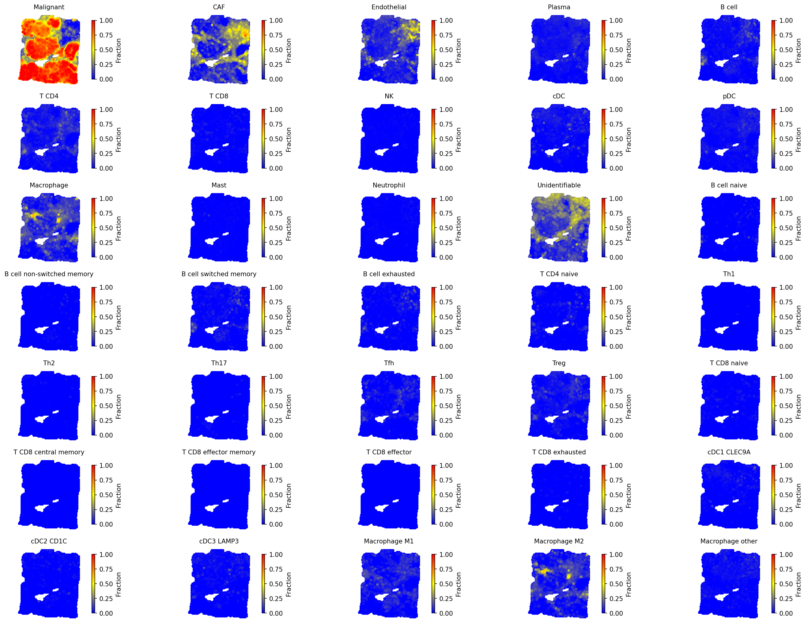 All cell type fractions
