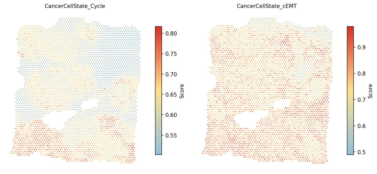 Cancer cell state scores