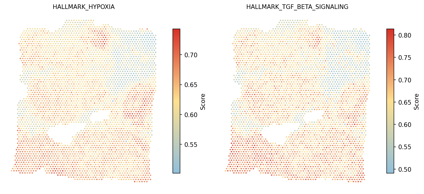 Hallmark gene set scores