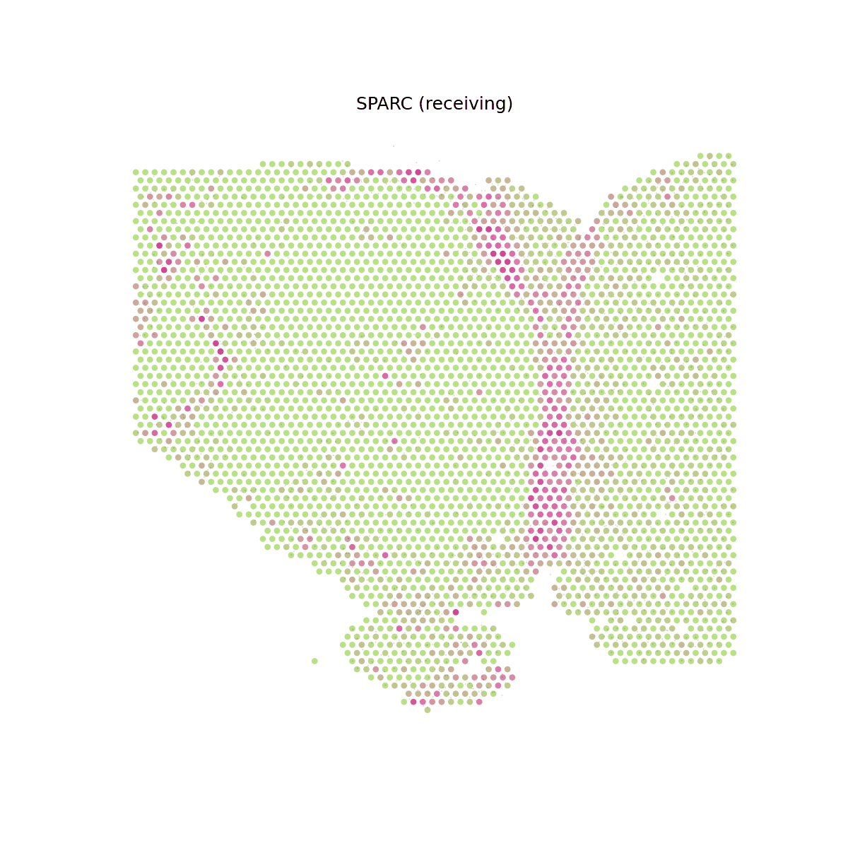 SPARC signaling velocity animated