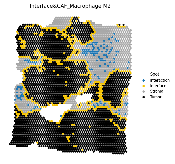 Interface with CAF-M2 interaction